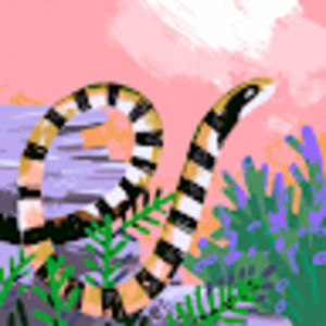 Meet your Posher, Madalynn